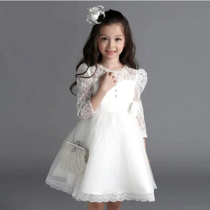 Princess Girls Lace Flower Wedding Party Dresses Children Kids Elegant Ball Gown Dress Vestidos Baby Christmas Children Clothing