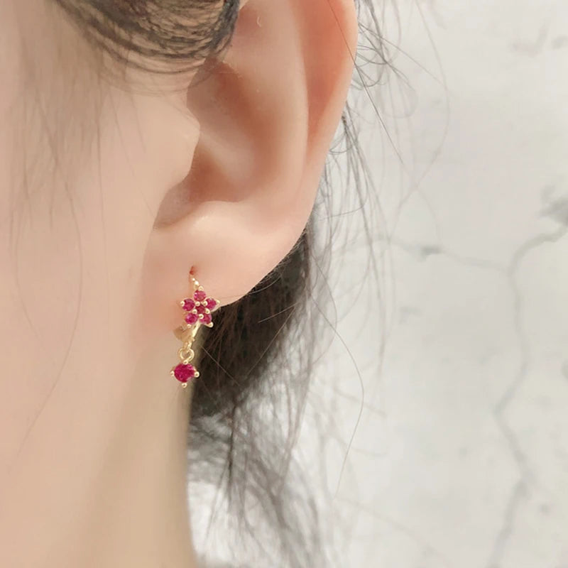 925 Sterling Silver Needle Rose Red Crystal Stud Earrings For Women Water Drop/Heart Pendant Gold Earrings Fashion Jewelry Gifts