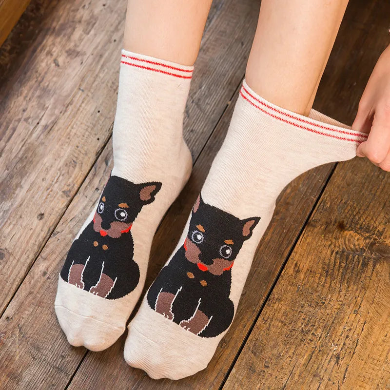 5 Pairs Fashion Colorful Kawaii Cute Cartoon Cotton Women Socks Harajuku Korean Halloween Cat Dog Owl Duck Fox Girl Socks