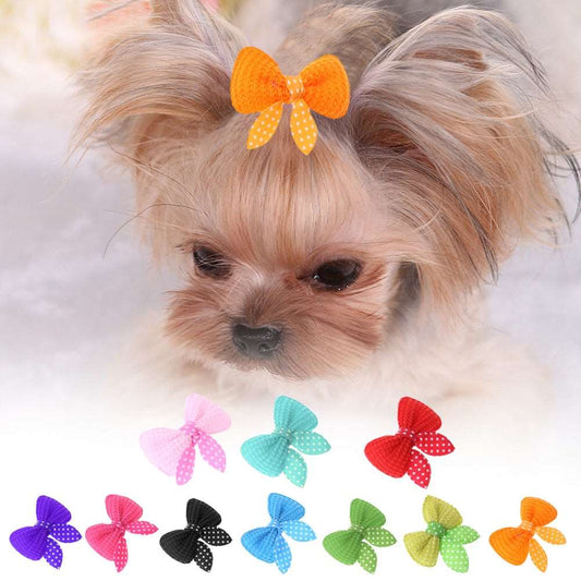 10-30pcs Pet Dog Hairpin Cat Beauty Supplies Bow Hairpin Pet Hair Clip Headdress Small Puppy Cat Hair Clip Pet Hair Accessories