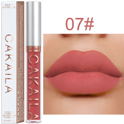 Sexy Long Lasting Velvet Matte Lip Gloss Liquid Lipstick Lip Makeup Women Beauty Red Nonstick Cup Waterproof Lip Gloss YZL2